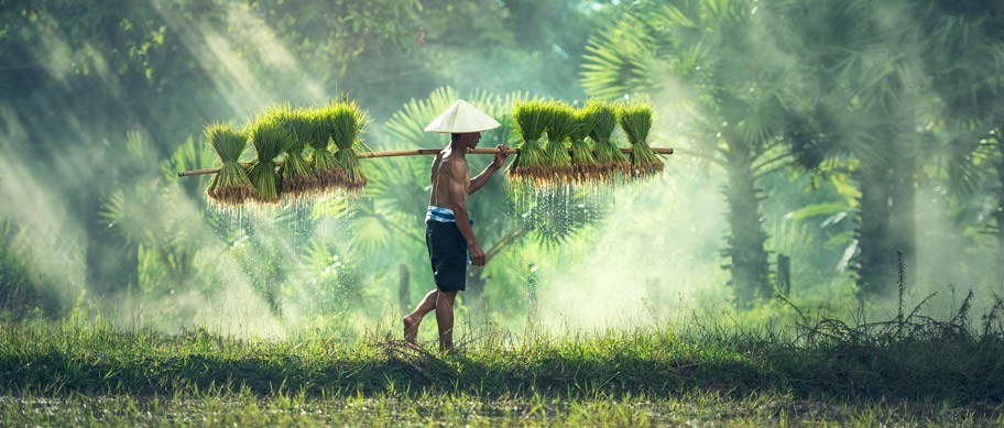 travelling through Cambodia