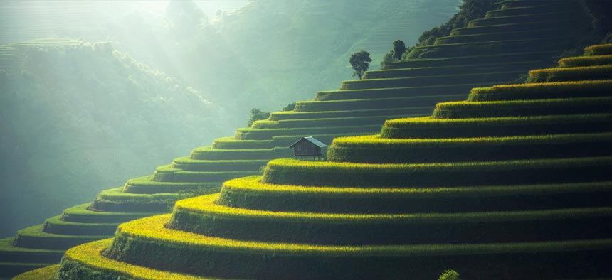 View in Cambodia